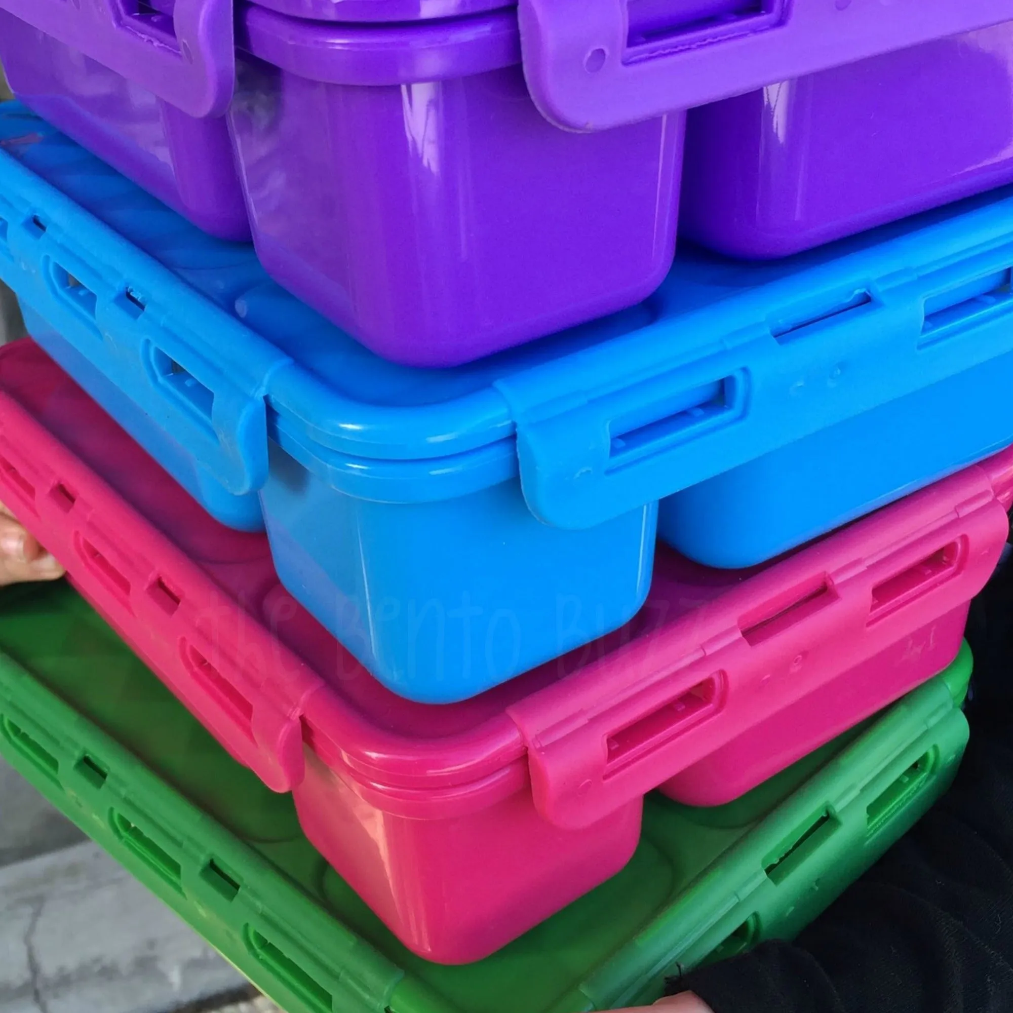 Go Green Lunch Box Bundle - MEDIUM