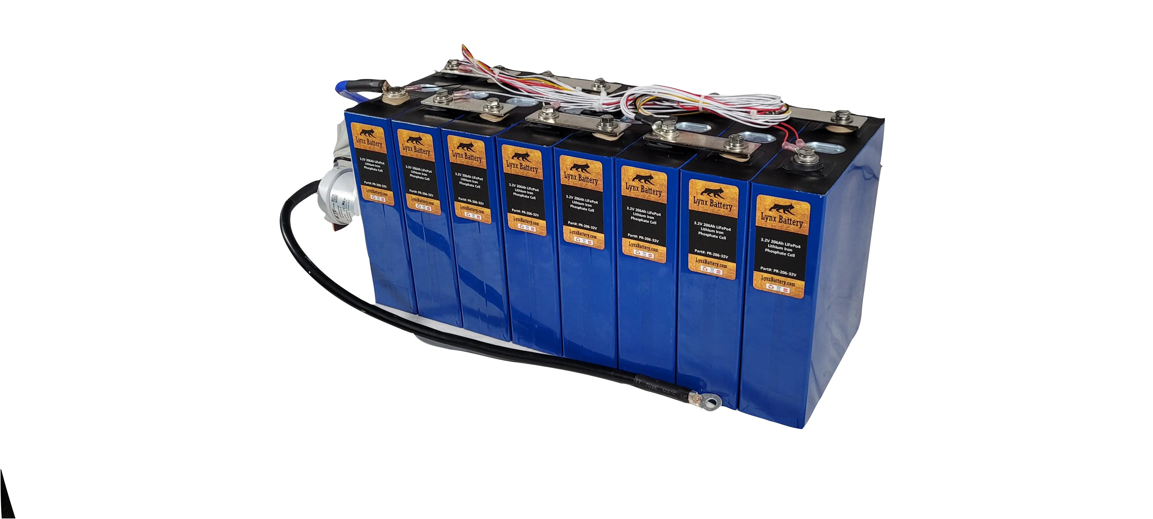 Lynx Battery 24V 200Ah Lithium Iron Phosphate Prismatic Battery with Programmable Smart Bluetooth 200A BMS and Cold Temp Cutoff