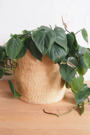 Medium Oats Storage Basket
